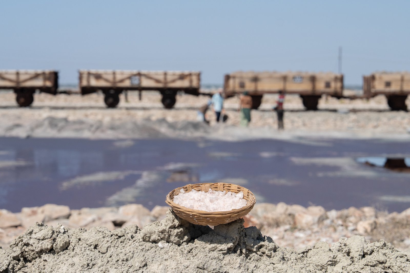 A harvester's shovel lifting raw pink salt from the brine beds of Sambhar Lake