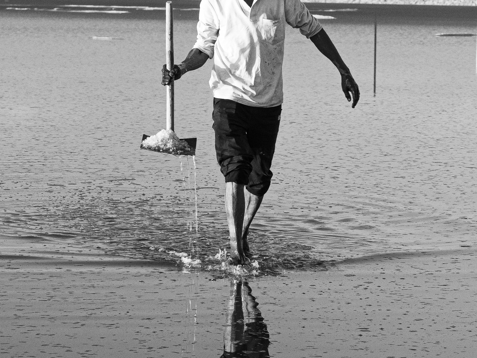 Sambhar Lake salt flats