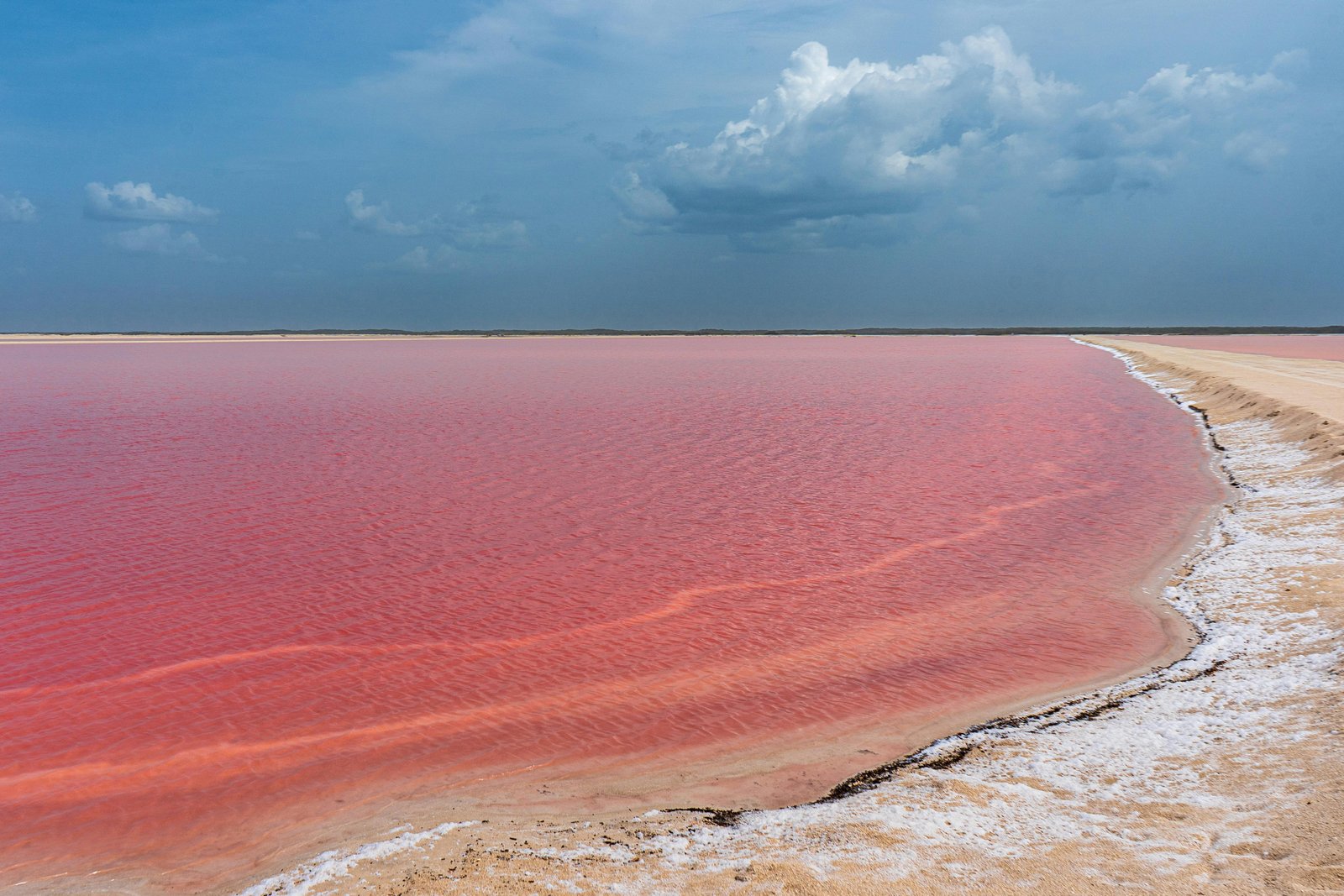 Panoramic view of Sambhar Lake's salt pans stretching to the horizon at sunrise